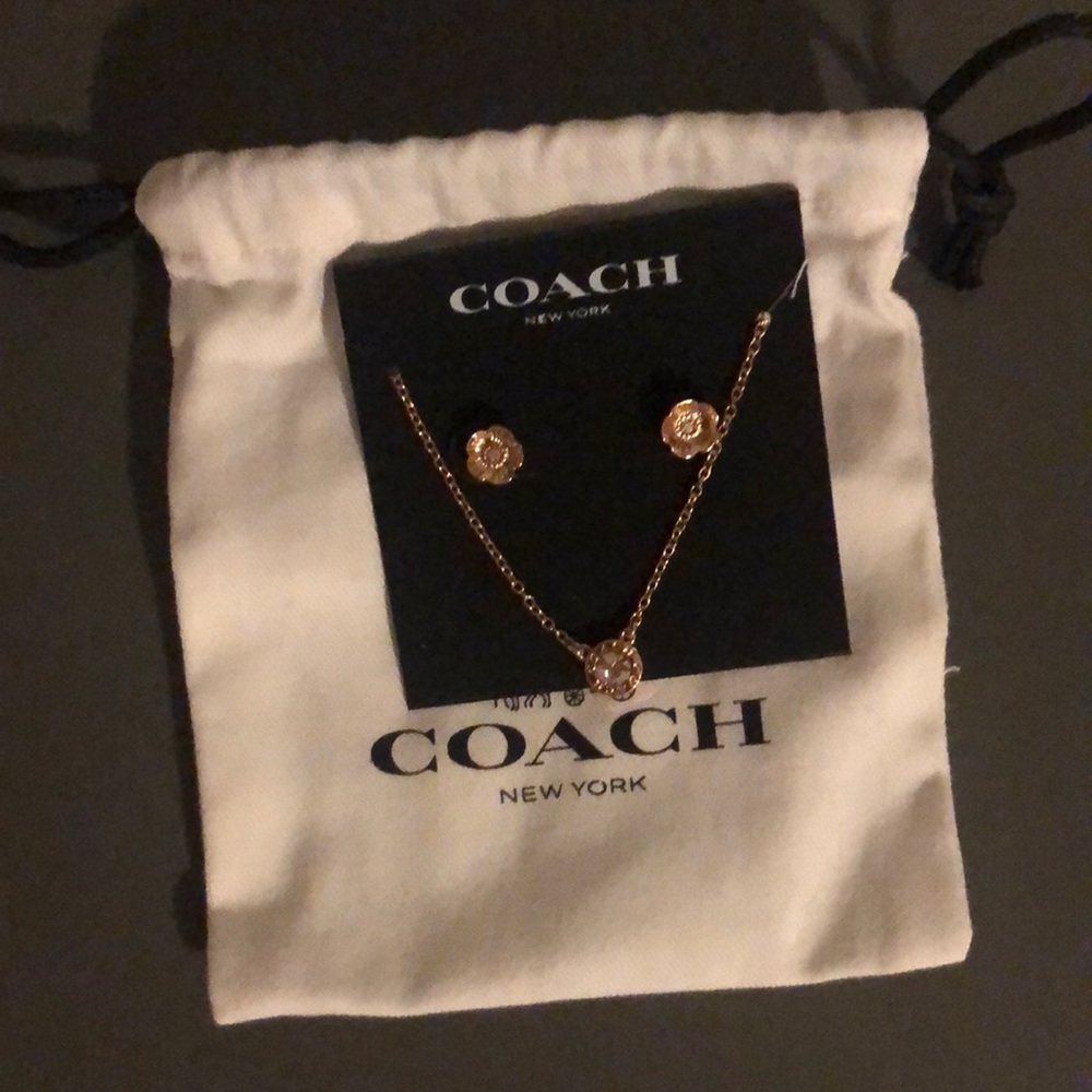 Brand new rose gold COACH earring/necklace set